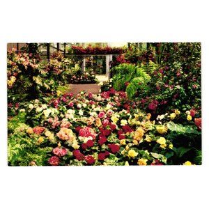 Vintage Postcard Rosecroft Begonia Gardens San Diego California Floral Landscape